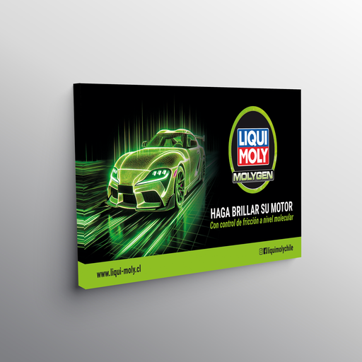 Bastidor con lienzo Liqui Moly Molygen 1,2x0,8