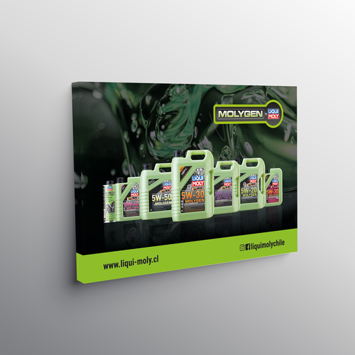Bastidor con lienzo Liqui Moly Molygen 2,0x1,0